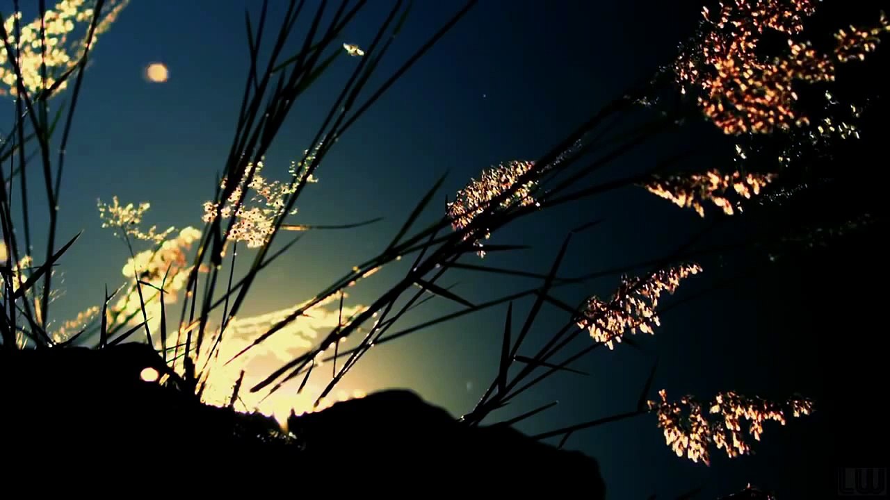 Ottmar Liebert - Santa Fe