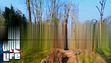 Ultimate Thug Life Compilation of June 2015 Part 2[1]