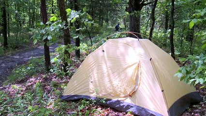 Bears - Discover Nature (May 2015)