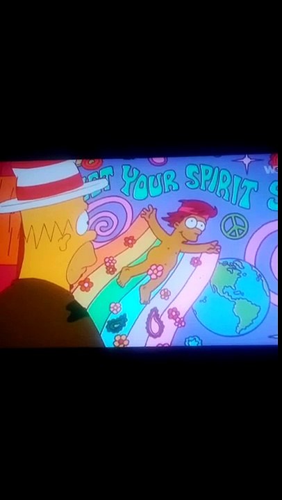 Homer Simpson ''mais mais mais l'poncho''