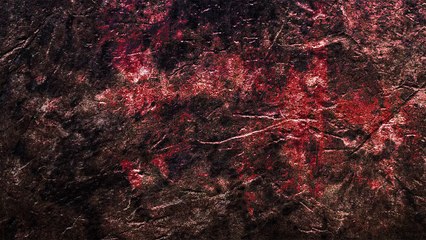 Rammstein Belgrade 28.04.2013. Intro