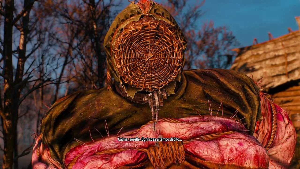 The Witcher 3: Ciri 04