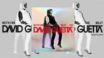 David Guetta   Play Hard ft  Ne Yo  Akon  [New Music ] 2012