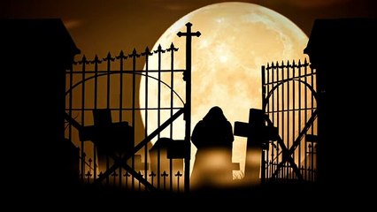 Talking Tom’s Halloween Story