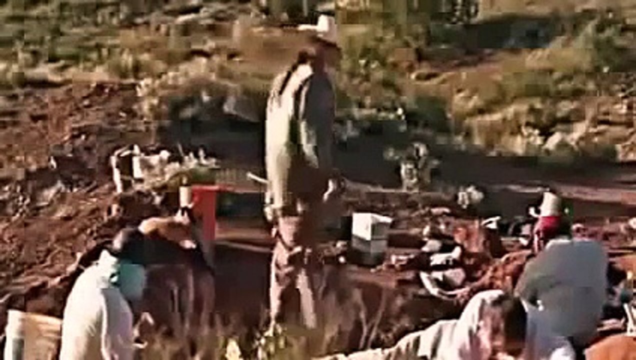 ARCTIC DINOSAURS - NOVA - Discovery/Animals/Nature (documentary)