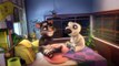Talking Tom and Friends, minisode 1 - Stop copying me