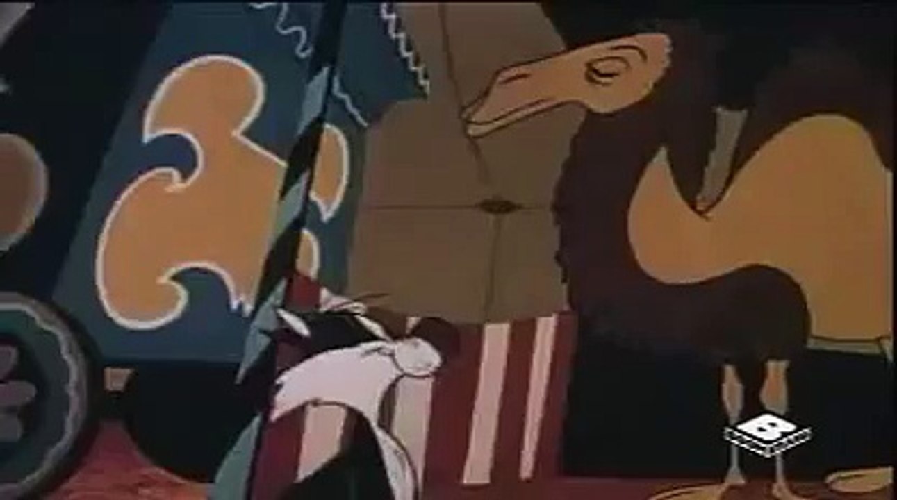 SILVESTRE_Y_PIOLIN 2