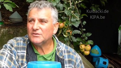 gute investition, good investment, dobra inwestycja, хорошие инвестиции, хороші інвестиції