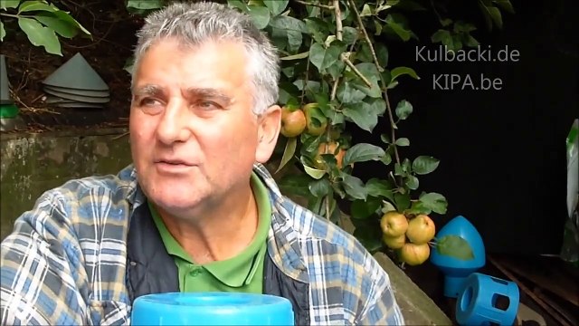 gute investition, good investment, dobra inwestycja, хорошие инвестиции, хороші інвестиції