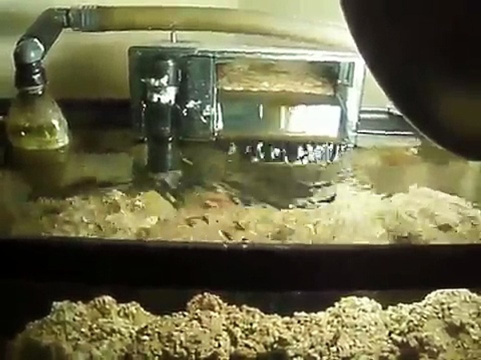 10:10G  NANO *Den room tank* update (Build a 100$ SW FOWLR NANO) w/DIY LiveRock