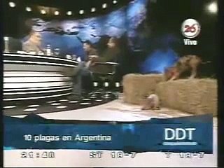 Informe sobre la gripe porcina en Después de Todo de Jorge Lanata (20-05-09)
