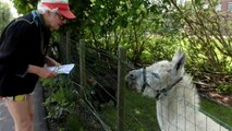 voordragen Lof van het Grote Verstans aan de ezel van Uithoorn