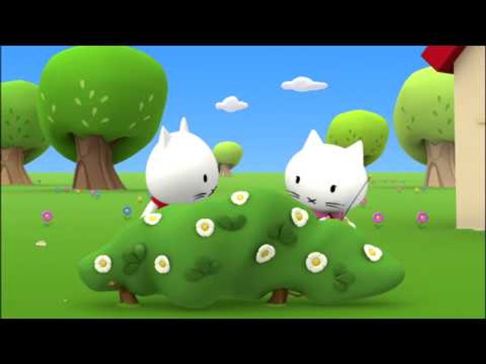 Musti 3D - Les voitures de course