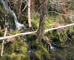 GALICIA NATURAL: Paraxe do Río Castro e do seu Castelo (Narahío-San Sadurniño-A Coruña)