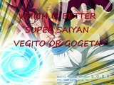 gogeta vs vegeto