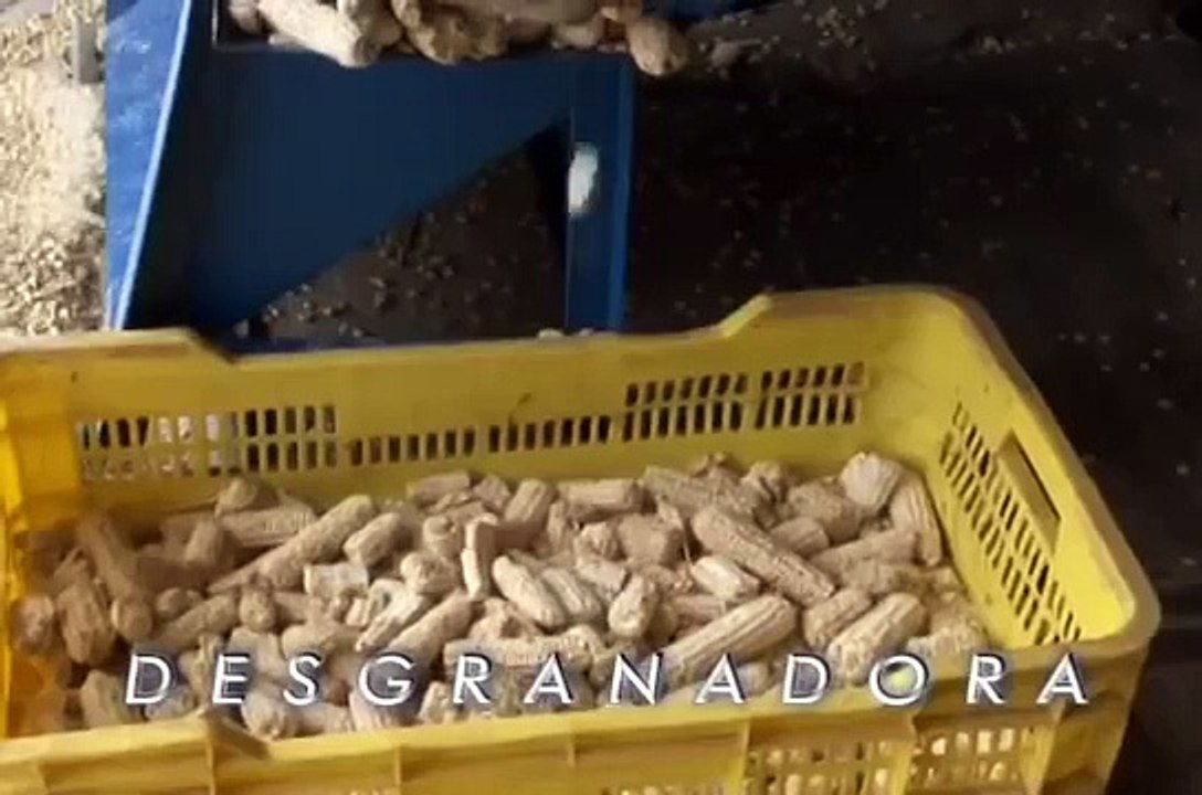 Deshojadora y Desgranadora de Maíz