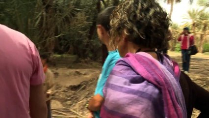 Découvrez la Route du Majhoul : L'écotourisme au Tafilalet 🌱