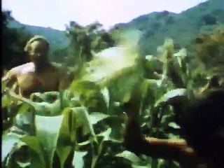 Planet of the Apes I (1968) - Original Trailer