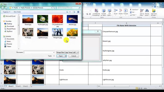 Insert picture in Excel cell automatically - Excel Image Assistant