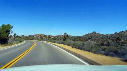 Joshua tree national park