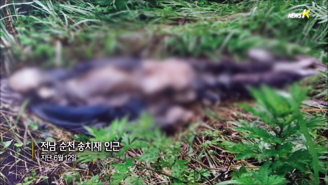 [세월호] 시신 발견 당시 현장 사진...상의 풀어헤쳐진 채 심하게 부패 (2014.07.23)