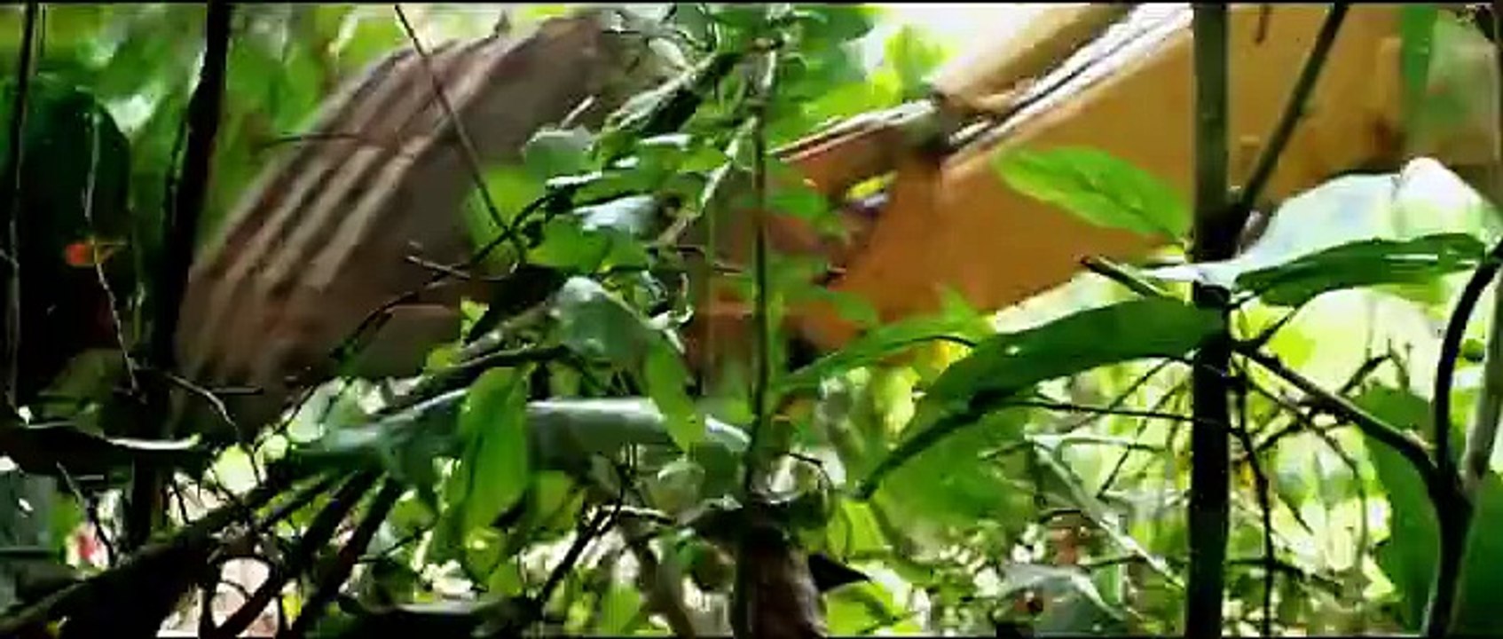 The Green Inferno Trailer #3 (2015) |  Eli Roth Horror Movie HD