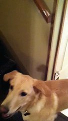 Mom Teaching Moments 👩‍🏫