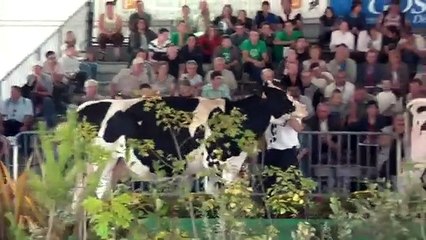 Sensuelle aux 4 jours du MANS 2012