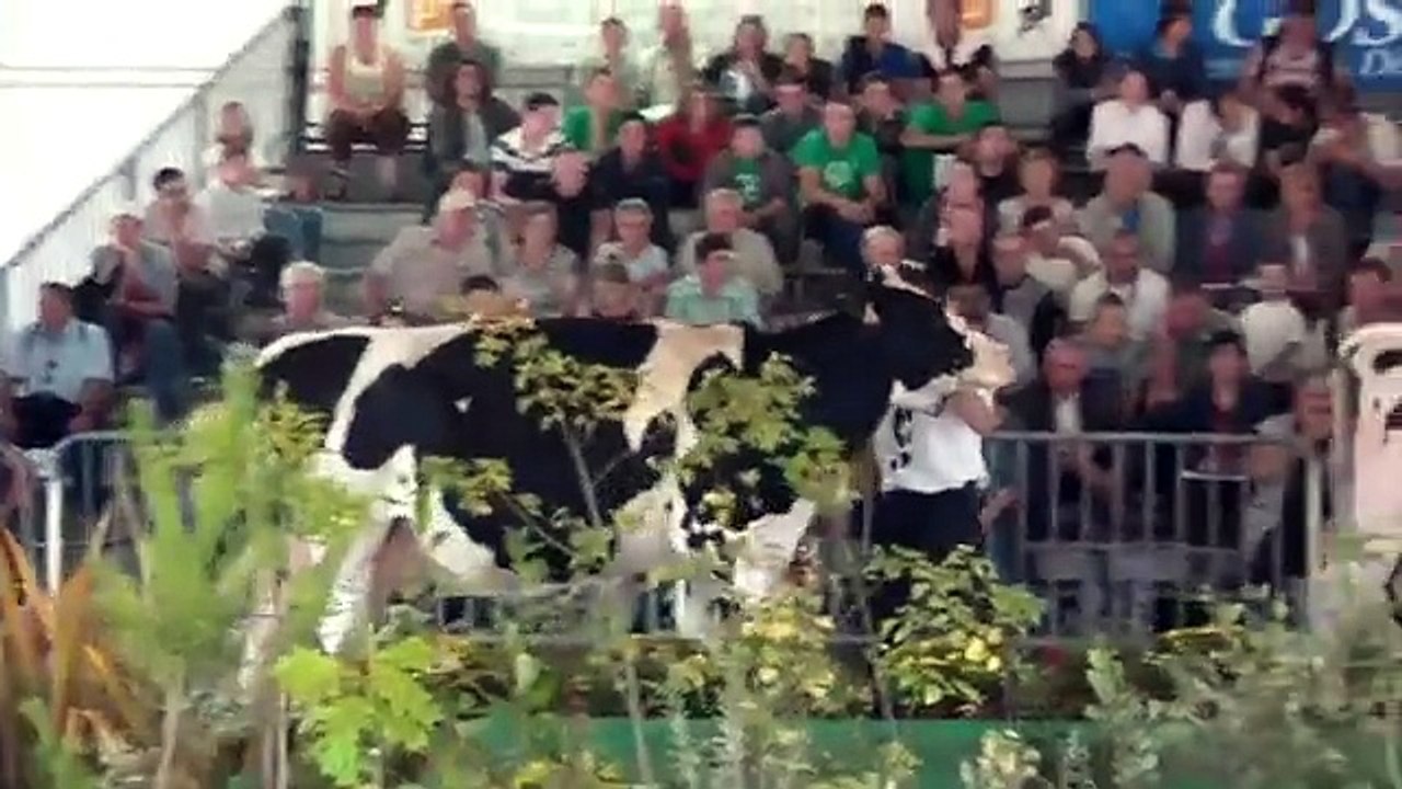 Sensuelle aux 4 jours du MANS 2012