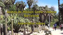 Succulents: Barcelona Cactus Garden