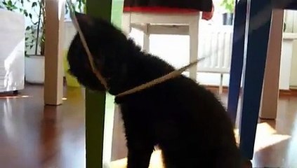Mia und Mogli genießen den ersten Morgen in neuer Umgebung