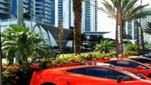 Lamborghini  Gallardo and Worlds First Gold Plated Lamborghini Aventador LP700-4 in MIAMI