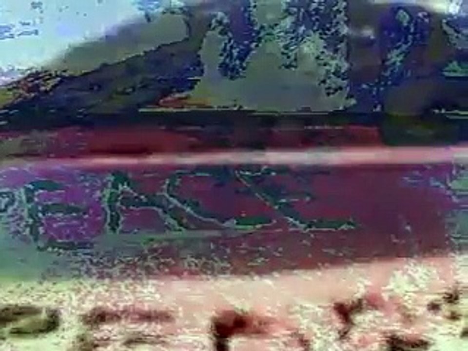 Hymne à la Paix. La Paix pour tous