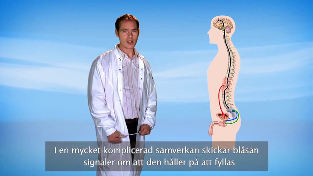 LoFric - introduktion till ren intermittent kateterisering för män, del 2