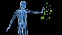 Boosting Immunity While Reducing Inflammation