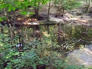 Aquarium Ideas - natural biotope of karst spring
