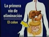 Limpieza Intestinal Colon Cleanse Estreñimiento Cronico Constipacion | Como Curar el Colon Irritable