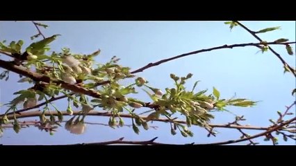 Natural scenes AD for Travel Agency