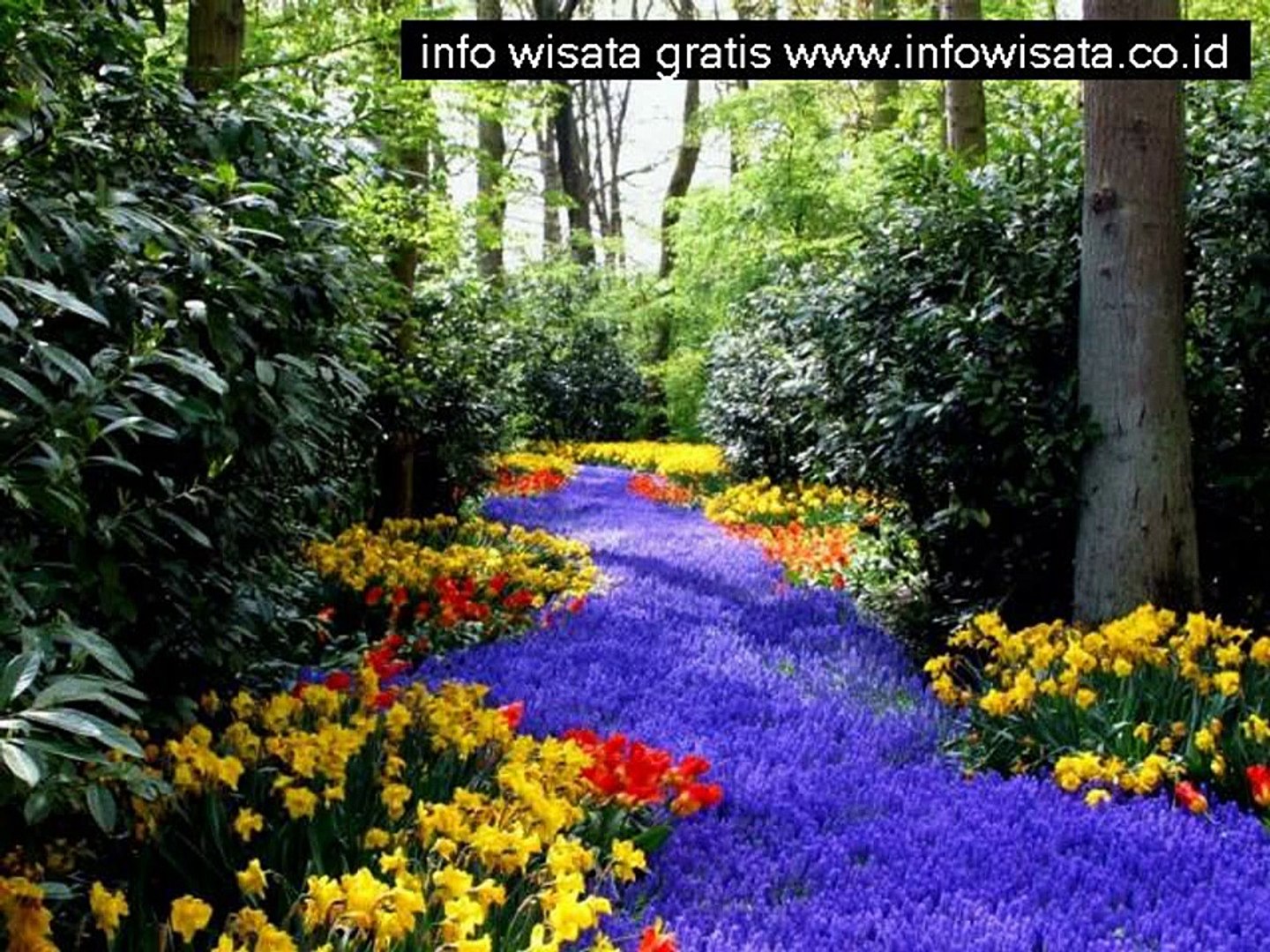 Wisata Agro Kebun Teh Wonosari Lawang Malang