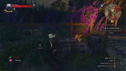The Witcher 3 Wild Hunt - Episode 7 - FR [HD]