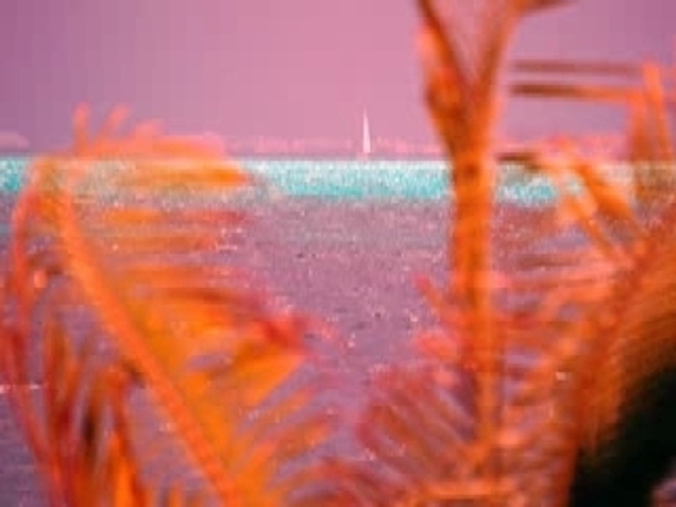 I love Cancun *
