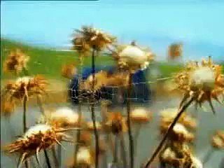 Toyota Corolla commercial its a trap