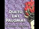 Dueto Las Palomas - Paloma Mentirosa.wmv