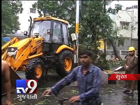 After heavy rains, 1,000 trees chopped down in Surat - Tv9 Gujarati