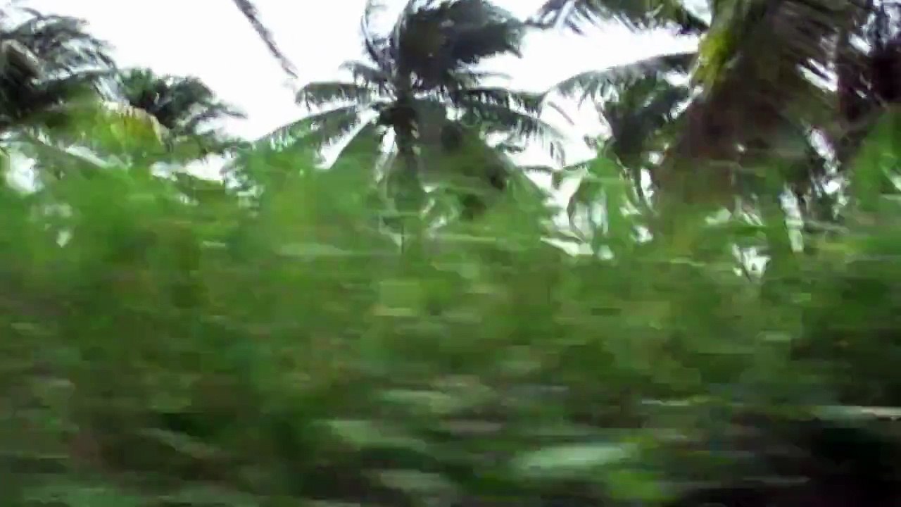 Ivory Coast-- Sights, Sounds, Motion--Work, Dance MAPOUKA, LIFE