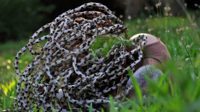 5/ la danse du bois Je marche dans la beauté promenade chorégraphique compagnielucmaubon.free.fr