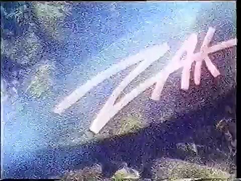 Hurra Deutschland: Westerwelle Junior schaut in die Zukunft