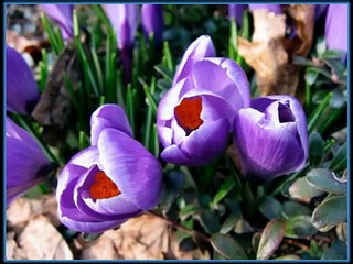 LDS My Heavenly Father Loves Me