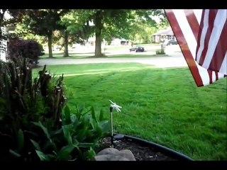Black & Decker Cordless Trimmer Reviews