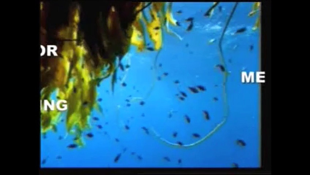 Professor William Hey testifying about Quran descriptions on scientific facts